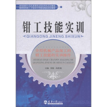 首批国家示范性高等职业院校特色实训教程·国家高技能人才培训示范基地精品培训教程:钳工技能实训