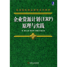 企业资源计划(ERP):原理与实践