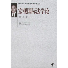 宏观国际法学论