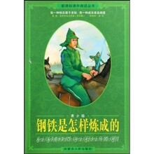 新课标课外阅读丛书:钢铁是怎样炼成的(青少版)