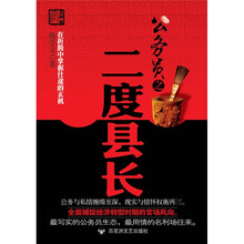 公务员之二度县长