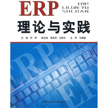 ERP理论与实践