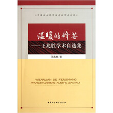 温暖的锋芒：王兆胜学术自选集