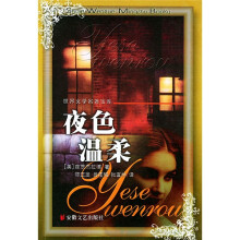 世界文学名著宝库:夜色温柔