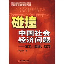 碰撞中国社会经济问题