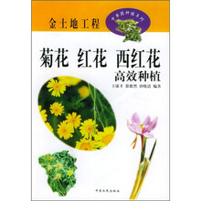 菊花 红花 西红花高效种植