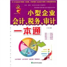 小型企业会计、税务、审计一本通
