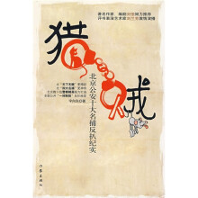 猎贼:北京公安十大名捕反扒纪实