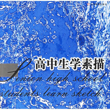 高中生学素描