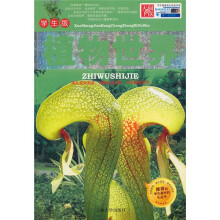 植物世界
