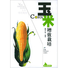 玉米增效栽培
