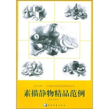 素描静物精品范例