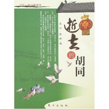 逝去的胡同