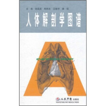 人体解剖学图谱