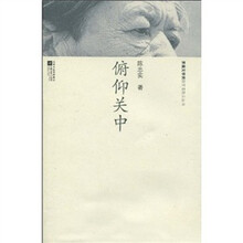 俯仰关中