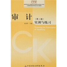 全国高职高专院校财会系列教材：审计实训与练习（第2版）