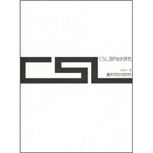 CSL写作教学研究