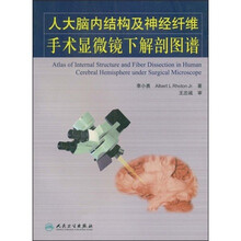 人大脑内结构及神经纤维手术显微镜下解剖图谱