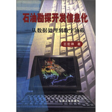 石油勘探开发信息化:从数据处理到数字油藏