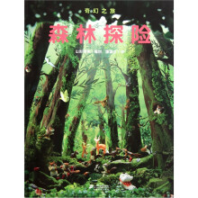 森林探险