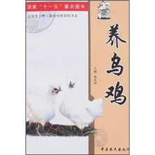 养乌鸡