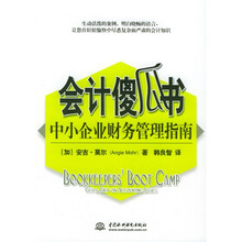 会计傻瓜书：中小企业财务管理指南
