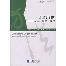 组织诊断：方法模型与过程