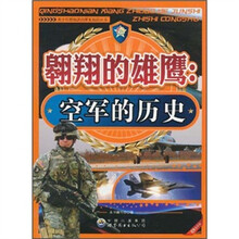 翱翔的雄鹰：空军的历史