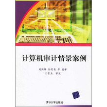 计算机审计情景案例