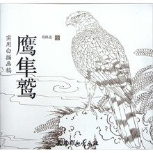 实用白描画稿：鹰隼鹫