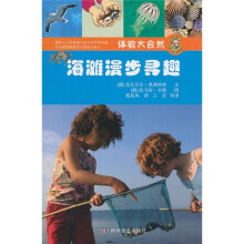 体验大自然:海滩漫步寻趣