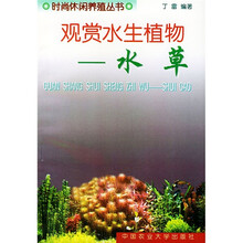 观赏水生植物：水草