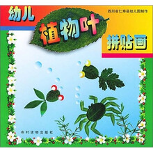 幼儿植物叶拼贴画（注音版）