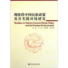 现阶段中国民族政策及其实践环境研究