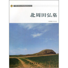 北周田弘墓（精）/宁夏文物考古研究所丛刊