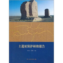土遗址保护研修报告
