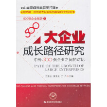 大企业成长路径研究