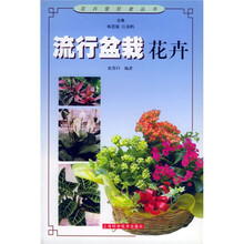 流行盆栽花卉