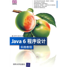 Java 6程序设计实践教程