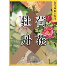 荷花·牡丹