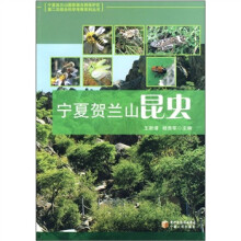宁夏贺兰山昆虫