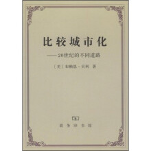 比较城市化:20世纪的不同道路
