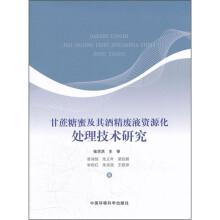 甘蔗糖蜜及其酒精废液资源化处理技术研究