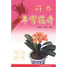 莳养年宵花卉