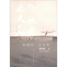 仰视你，北大荒