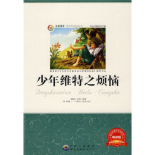 少年维特之烦恼