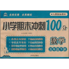 小学期末冲刺100分：数学（5年级下册）（人教版新教材）（精华版）