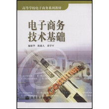 高等学校电子商务系列教材：电子商务技术基础