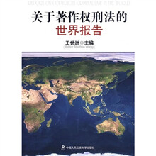 关于著作权刑法的世界报告