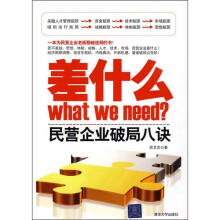 差什么：民营企业破局八诀